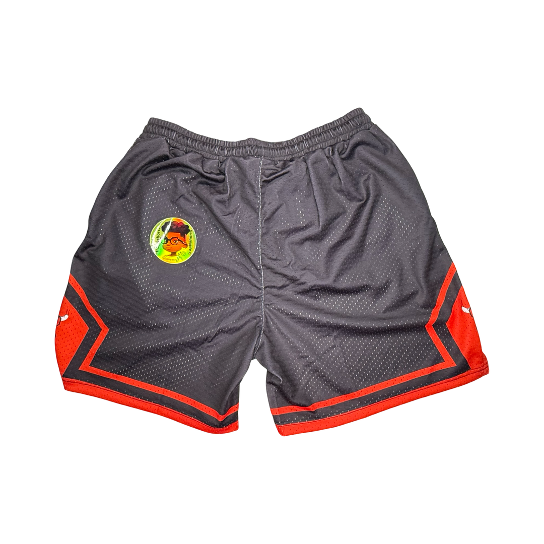 No Bull Mesh Basketball Shorts — Limited Quantities