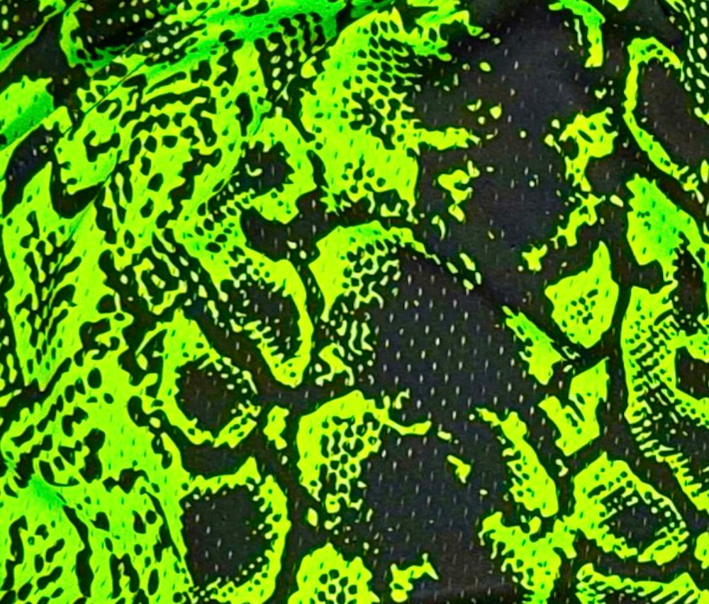 Alien Mamba Mesh Basketball Shorts — Dry Fit