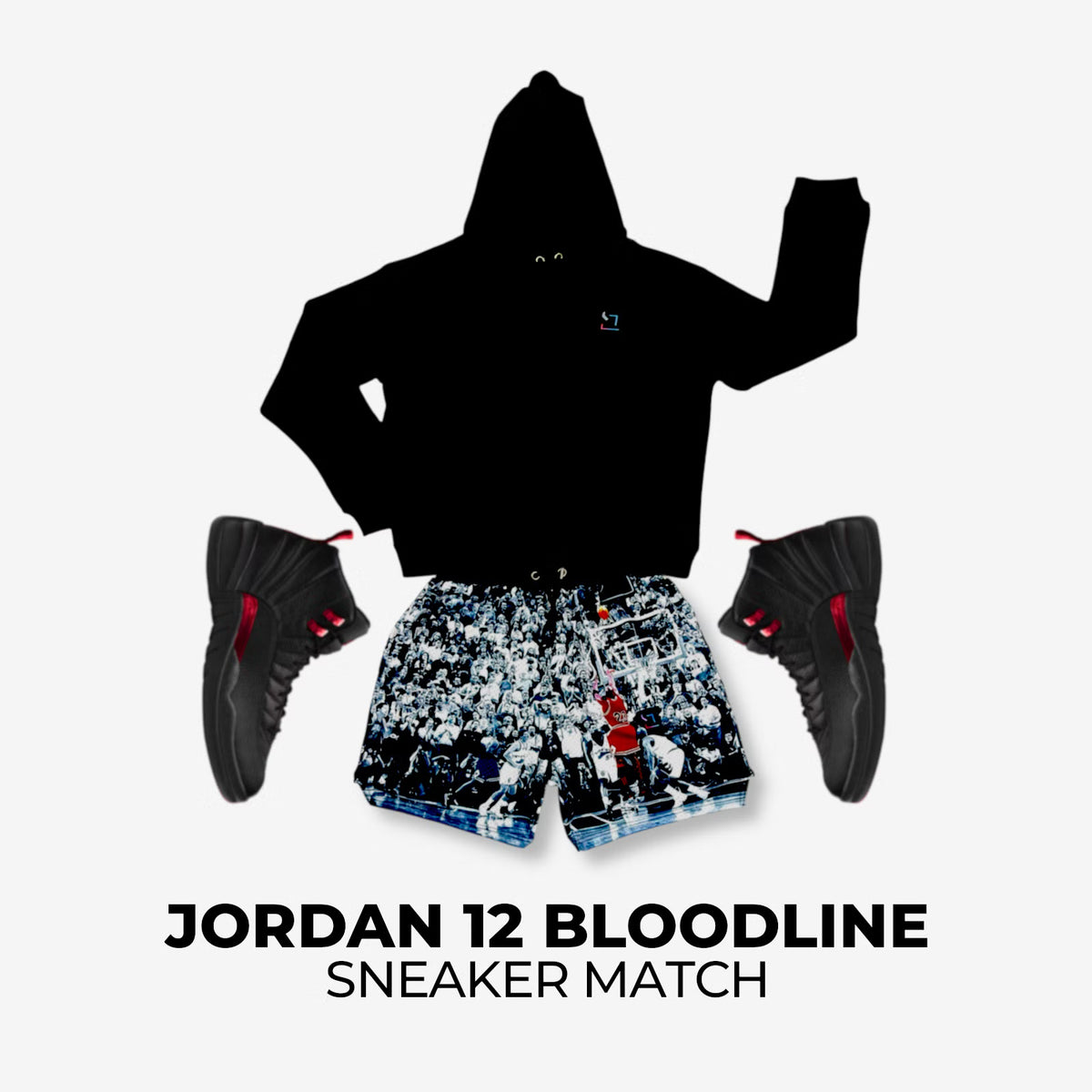 Jordan 12 Bloodline Match