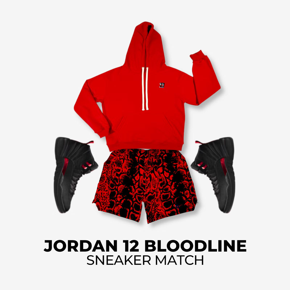 Jordan 12 Bloodline Match