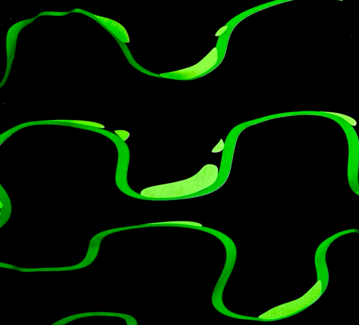black and neon green water resistant fast drying shorts texture closeup