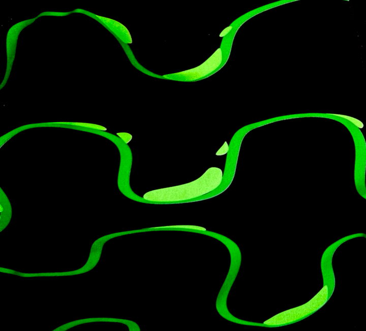 black and neon green water resistant fast drying shorts texture closeup