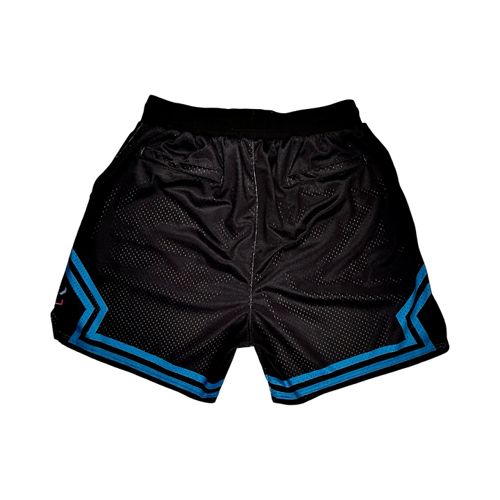 Baseline Elite PRO Sky Shorts