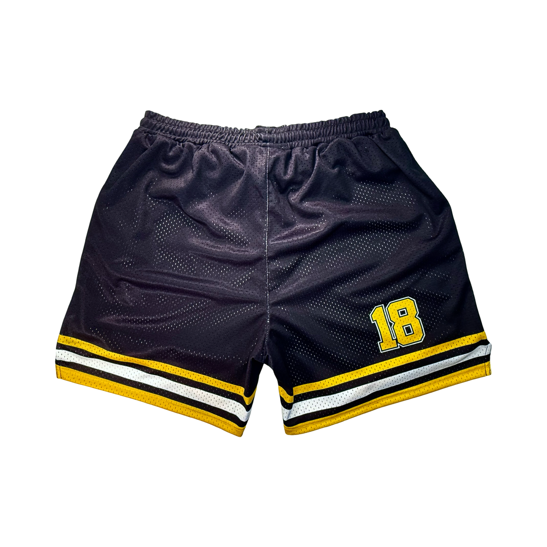 GILMORE | Mesh Dry-Fit Basketball Shorts - ALL Sizes