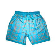 HiM Aqua and Silver Basketball Shorts — Ja Morant 3 Metallic Silver Sneaker Match