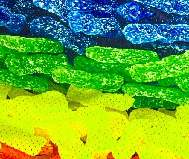 Sour Patchwork Mesh Basketball Shorts — Dry Fit