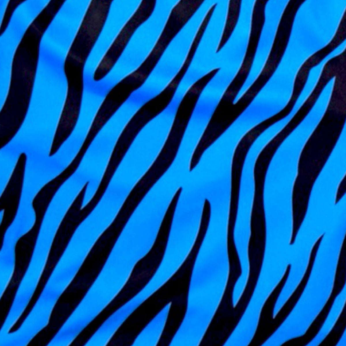 Closeup texture view of Blue and black zebra pattern shorts with pink waistband on a white background
