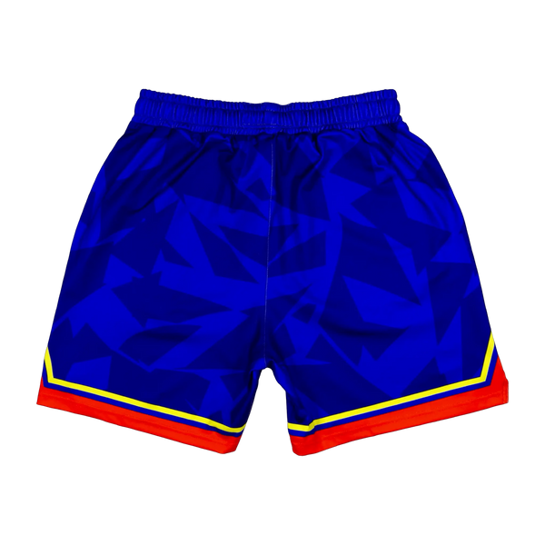 Charge Soft-QD shorts back #color_navy