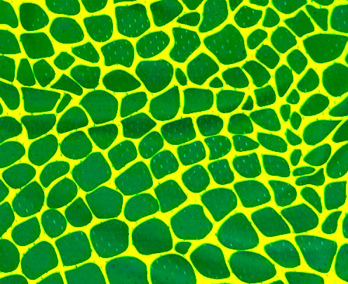 Trap Grinch Pro-Style Mesh Basketball Shorts — Dry-Fit