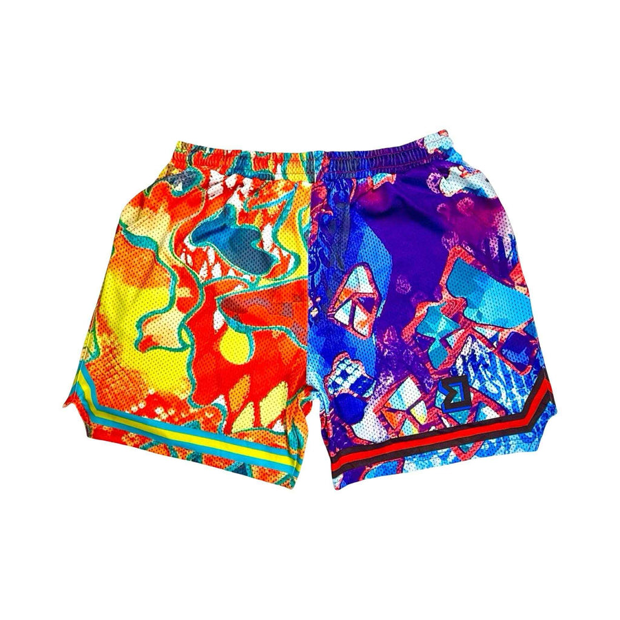 WhatThe Mesh Basketball Shorts — Dry Fit