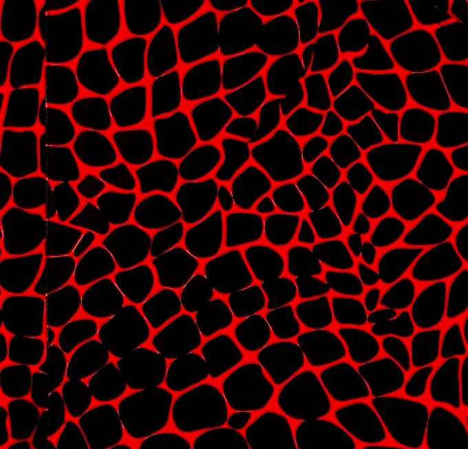 Red and black gator/zombie patterned shorts on a white background
