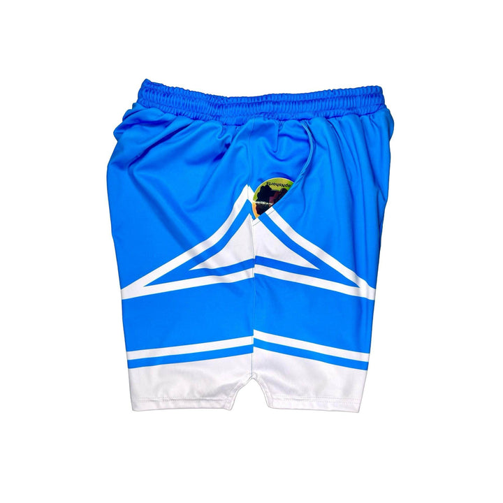 WILDCAT Dry-Fit Shorts - SkyBLUE 🏀🩵🐾 - Trap'n Shorts