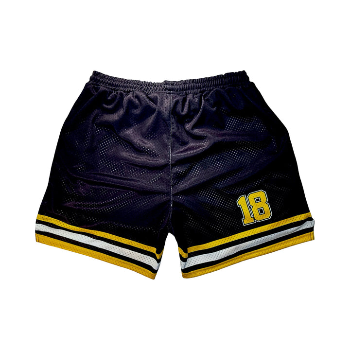 Gilmore Mesh Basketball Shorts