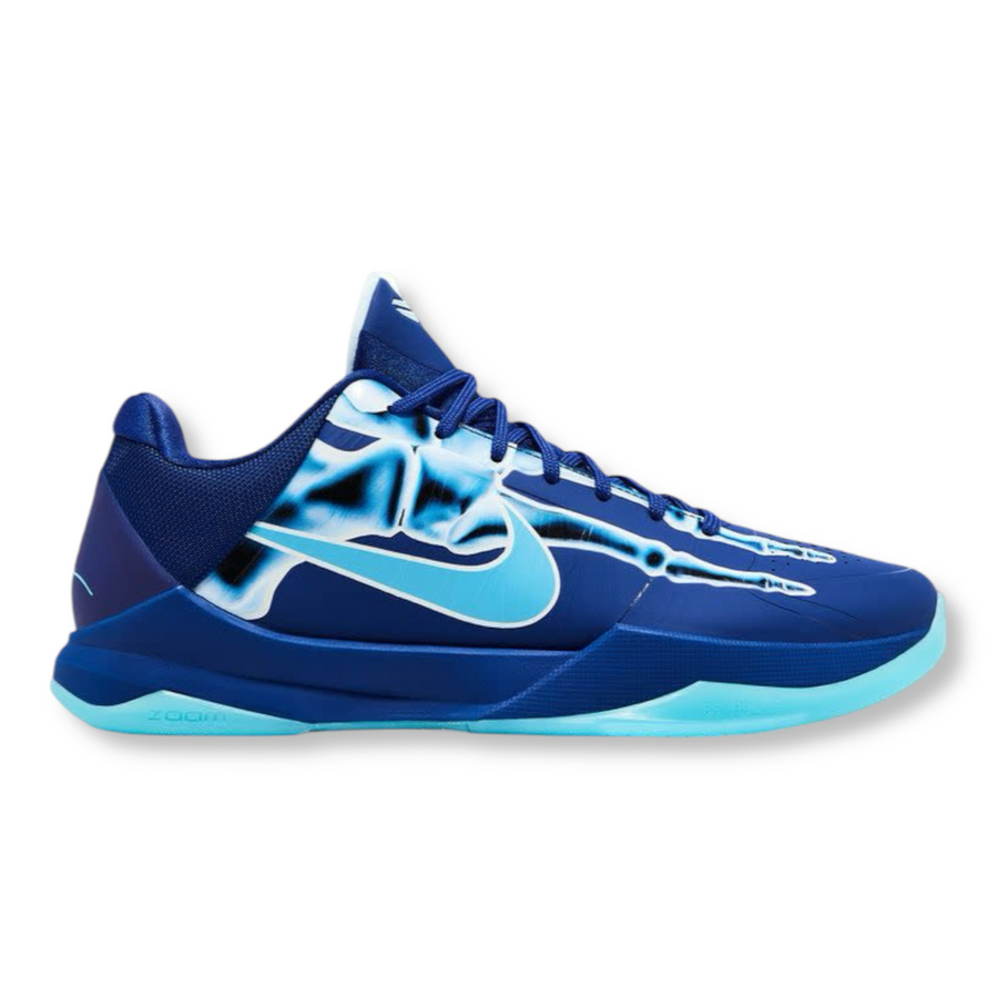Kobe 5 X-Ray