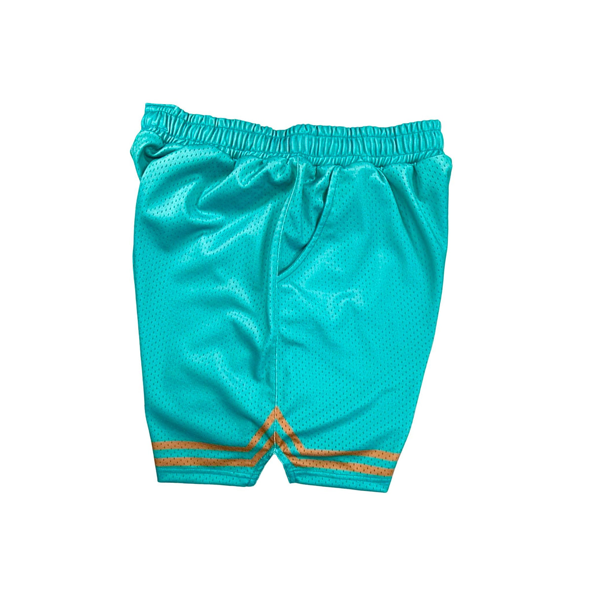 Turquoise mesh shorts with gold stripes on a white background