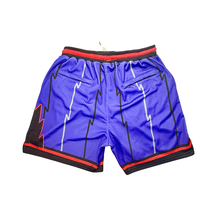 TRAPTOR | Authentic Pro Mesh Basketball Shorts (Retro-Inspired)