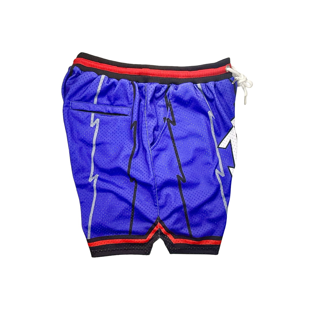 TRAPTOR | Authentic Pro Mesh Basketball Shorts (Retro-Inspired)