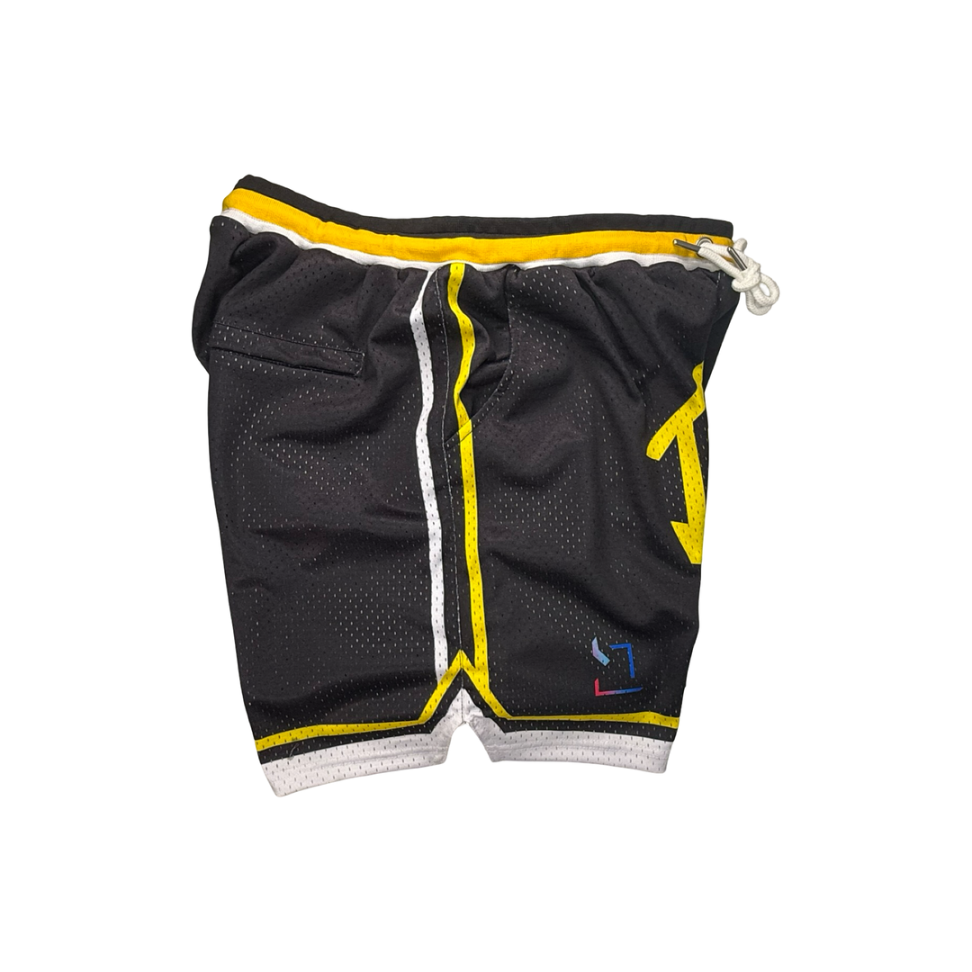Basketball Shorts – Mesh Pro (Trap News)