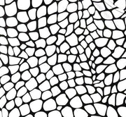 White and black gator/zombie patterned smooth dry fit shorts texture close up