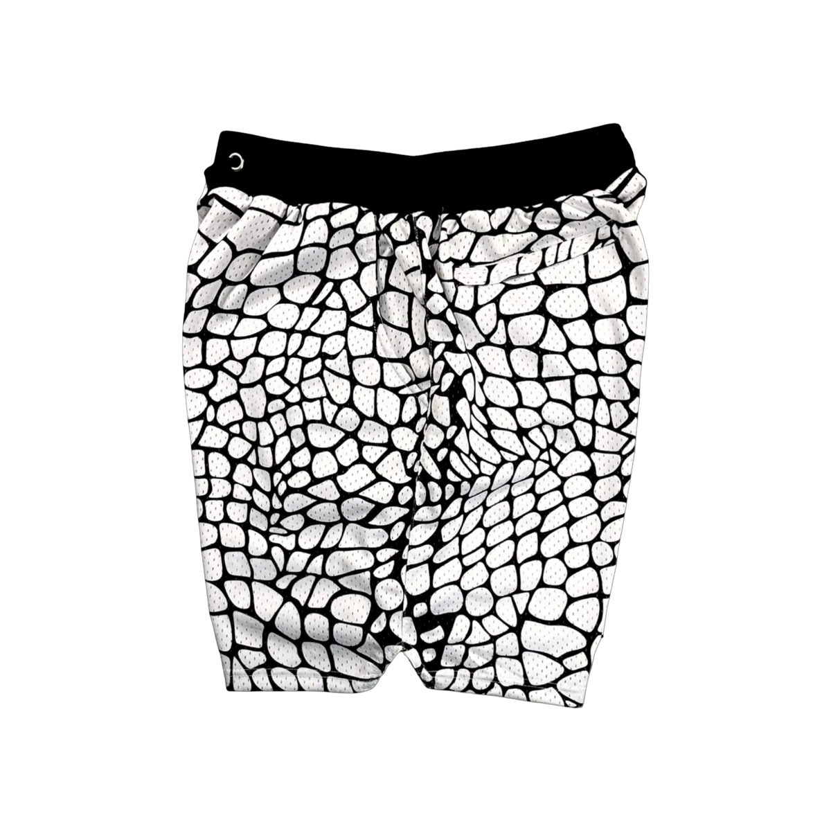Zombie White Elite PRO Shorts